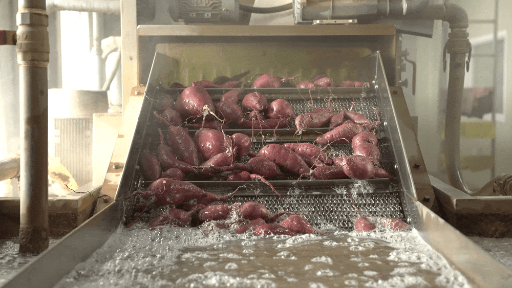 a2ef406e2c2351e0b9e80029c909242d_145838.gif